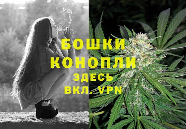 СК Горняк